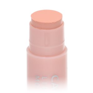 CANMAKE Lip Concealer Moist In